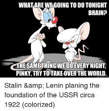 Try to take over the world they're pinky and the brain yes, pinky and the brain one is a genius the other's insane. What Are Wegoing To Do Tonight Brain Thesamethingwedo Every Night Pinky Try To Take Over The World Brain Meme On Awwmemes Com