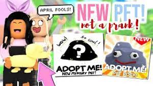 New Free Pet Rock In Adopt Me April Fools Prank Sunsetsafari Youtube