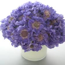 When it comes to your wedding budget, flowers tend to take over a large portion of the costs. Flowers In Season March Lavender Wedding Flowers Simple Wedding Flowers Country Wedding Flowers