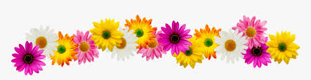 We did not find results for: Spring Clipart Border Spring Flowers Border Clipart Hd Png Download Transparent Png Image Pngitem