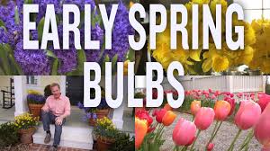 Maybe you would like to learn more about one of these? March Garden Design Tips 2019 Early Spring Bulbs P Allen Smith Youtube