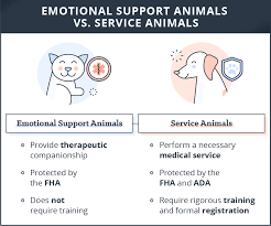 Emotional Support Animal Laws For Rentals What You Need To Know Turbotenant