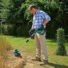 Bosch Coupe Bordures 36v Solo Advancedgrasscut36 0600878n04 Coupe Herbe Bordure