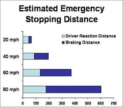 general guidelines georgia drivers manual 2019