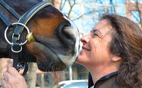 Fortbildungen für Tierärzt:innen