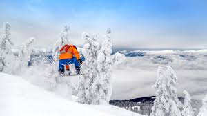 Burton is a well known snowboard brand and you'll see their gear and equipment all over the slopes this year. Top 10 Snowboard Brands The House