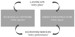 Why not make the ii dominant also? Sustainability Free Full Text Greening Green Infrastructure Good Italian Practices For Enhancing Green Infrastructure Through The Common Agricultural Policy Html