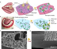 Check spelling or type a new query. Soft And Ion Conducting Hydrogel Artificial Tongue For Astringency Perception Science Advances