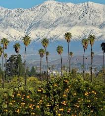 Such A Pretty Sight December In Redlands Ca California Palm Trees Redlands Riverside California