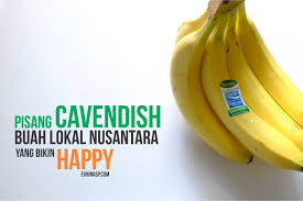 We did not find results for: Pisang Cavendish Buah Lokal Nusantara Yang Bikin Happy Evrinasp