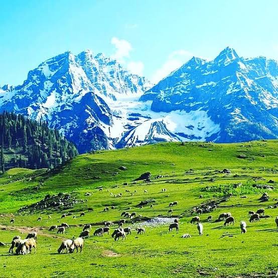 Kashmir Tourism: All You Need to Know Before You Go (2026)
