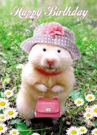 Lustige geburtstagsbilder witzige bilder zum geburtstag kostenlos. Happy Birthday Memes With Funny Cats Dogs And Cute Animals Geburtstag Bilder Lustig Geburtstag Lustig Geburtstagsbilder