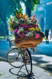 Download Bike Flowers Pictures Download Free Images On Unsplash