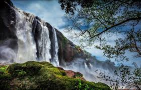 Image result for top 10 places in palakkad
