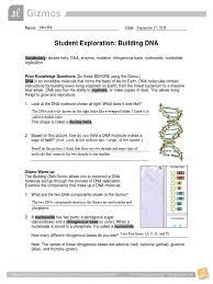 Double helix, dna, enzyme, lagging strand, leading strand, mutation. Gizmo Building Dna Answer Key Pdf 32 Rna And Protein Synthesis Gizmo Worksheet Answers Worksheet Resource Plans Double Helix Dna Enzyme Mutation Nitrogenous Base Nucleoside Nucleotide Replication Prior Knowledge Questions