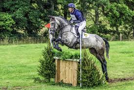 Detective barry fagan 1 episode, 2012 victoria millar. Eventing Archives Localrider