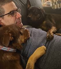 22 Photos That Show Animals Have the Purest Hearts