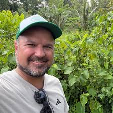 What are the requirements to maintain gold medallion status in 2026?