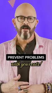 Prevent Cat Problems with Playtime: Tips from Jackson Galaxy