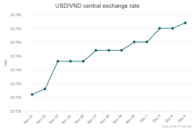 Vietnamese Currency Falls To New Low Could Go Lower