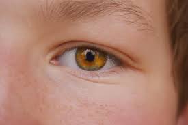 These Facts About Eye Color Percentages Will Blow Your Mind Eye Color Facts Amber Eyes Color Eye Color