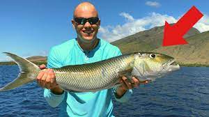 Maybe you would like to learn more about one of these? First Time Making Sushi Catch N Raw Hawaii Fish Youtube