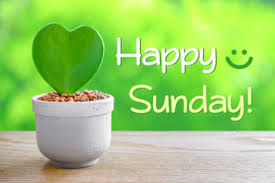 Image result for happy sunday my friends