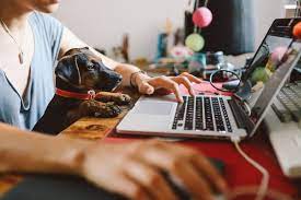 Best practices, tips and tricks to help you and your team stay productive and maintain balance when working from home. The Great Work From Home Experiment How Covid 19 Is Accelerating The Future Of Work