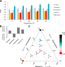 Check spelling or type a new query. Differential Effect Of Plant Lipids On Membrane Organization Journal Of Biological Chemistry