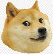 We present you our collection of desktop wallpaper theme: Doge Head Right Png Image With Transparent Background Toppng