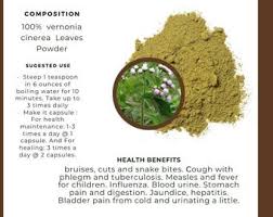 Image result for Vernonia nepetifolia