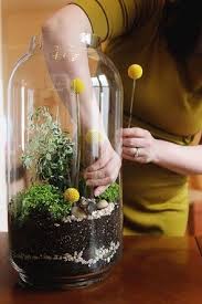 Diy Wedding Flower Ideas Terrarium Terrarium Diy Garden Gifts