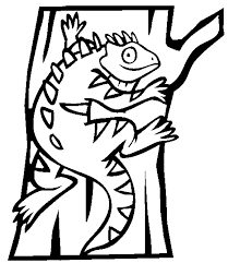 The iguana coloring pages show these large lizards in various poses and actions, often in its. Iguana Coloring Pages Coloring Home