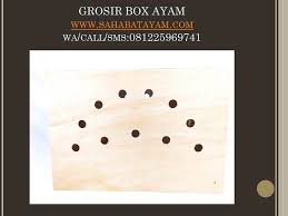 Wa O81 225 969 741 Termurah Box Ayam Jago Bangkok Cilacap Belum Dapet Box Ayam Jago Bangkok Hub O81 225 969 741 Bok Ayam Jago Bok Ayam Joper Bok Ayam Laga Di 2020