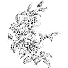 Rose Border 1232n Rose Drawing Tattoo Flower Tattoo Drawings Pointillism Tattoo