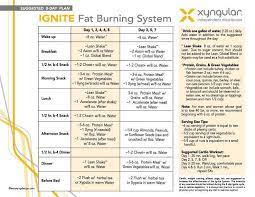 Getting Started On Your 8 Day Body Transformation Here Is Our Chart To Follow During The First 8 Days Que Xyngular 8 Day Challenge Day Plan How To Plan