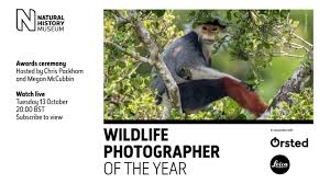 Jun 07, 2021 · from photographing nature with chris packham to snapping shots of anna friel, the six contestants have the opportunity of a lifetime on the bbc show. Awards Ceremony 2020 Wildlife Photographer Of The Year Youtube