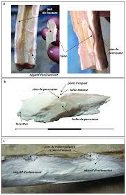 Vous êtes dans l'application de demande d'enlèvement a.t.m. Pans De Fracture Negatifs D Enlevement Et Stigmates Secondaires Download Scientific Diagram