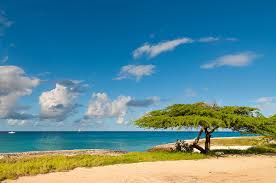 All inclusive dovolená a levné zájezdy last minute uroa 2021 / 2022 s dovolena.cz. Aruba Dovolena 2021 Ck Fischer