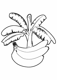 34 Desenhos De Bananas Para Colorir Desenhos Para Colorir