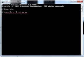 Tidak usah panik ketika kehilangan file yang sangat penting! Cara Mengembalikan File Yang Terhapus Hidden Di Flashdisk Karena Virus Dengan Software Tanpa Software Agung Jaka Nugraha