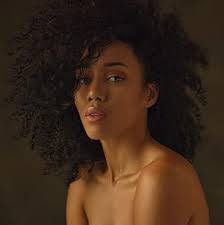 Daniel Friedberg: Movies, TV, and Bio