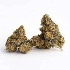 Hemp flower comes from the female hemp plant and looks just like a cannabis bud. The 10 Best Cbd Flower Strains Of 2021 May Update