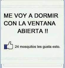 Chistes E Imagenes Graciosas Buenas Noches Frases Divertidas Chistes Frases Graciosas