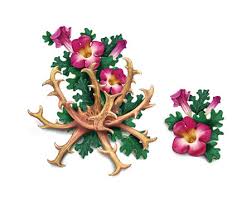 Image result for Harpagophytum procumbens