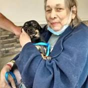 Search Shirley Cress Obituaries and Funeral Services