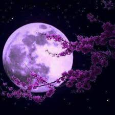 Beautiful Moon - Home | Facebook