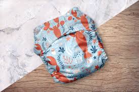 Reusable Cloth Diaper Mockup In 2020 Reusable Diapers Cloth Diapers Diaper