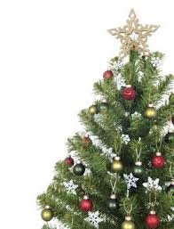 Fresh Cut Christmas Tree Fragrance Oil At Aztec Candle Soap Making Supplies