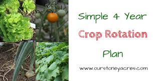 a simple 4 year crop rotation plan our stoney acres